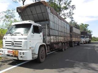 Caminhões foram apreendidos sem documentos (Foto: PMR)