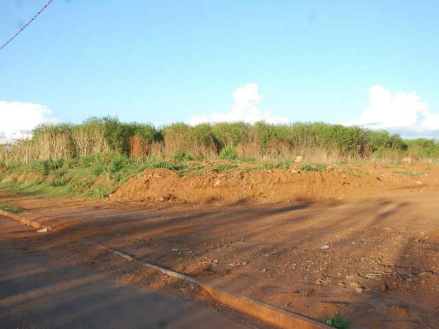  Matagal alto transforma Duque de Caxias adentro em cen&aacute;rio de assaltos