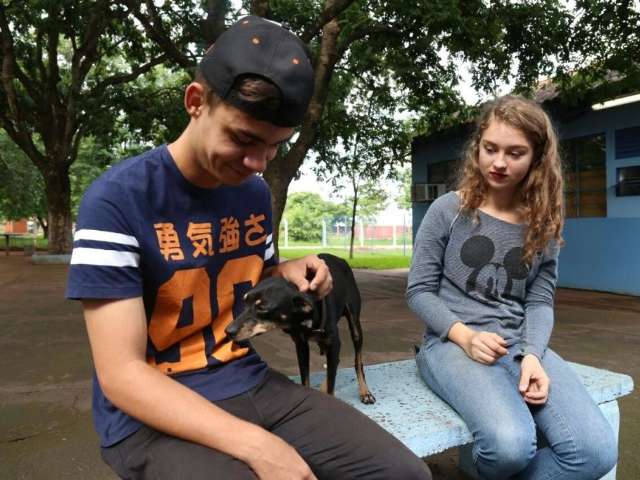 A tr&ecirc;s dias do ano acabar, c&atilde;ozinho ganha nova chance de viver 2018