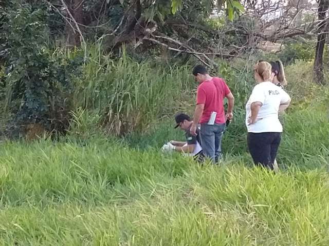 Corpo De Mulher é Encontrado Em Matagal No Tijuca Capital Campo Grande News 7730