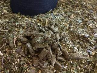 Porções de maconha misturadas com erva de tereré. (Foto: Divulgação/Agepen)