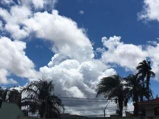 Céu parcialmente nublado na tarde desta quarta-feira no Jardim dos Estados na Capital (Foto: Guilherme Henri)