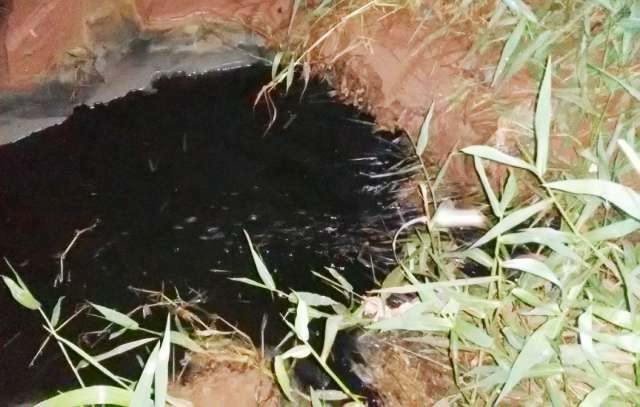 Frigor&iacute;fico &eacute; multado em R$ 350 mil ap&oacute;s curtume poluir solo e c&oacute;rrego