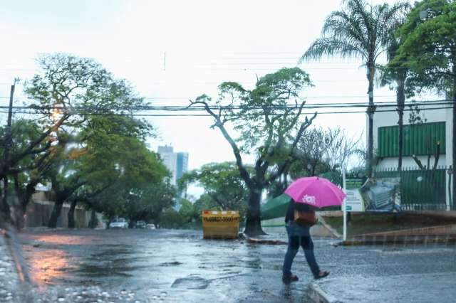 Chuva supera esperado no interior e derruba &aacute;rvore na Capital