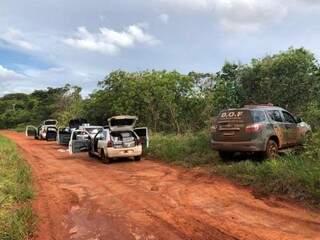 Quatro dos sete veículos apreendidos durante fiscalização na fronteira com o Paraguai (Foto: Divulgação/DOF)