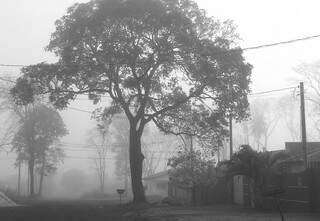 No Jardim Pelicano, neblina cobriu casas hoje cedo (Foto: Luiz Radai)