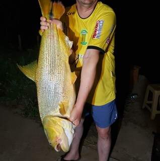 Captura de peixes da espécie Dourados está proibida (Foto: Divulgação/PMA)