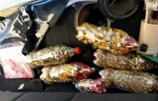 Munições estavam escondidas em garrafas pet (Foto: Sidrolândia News)