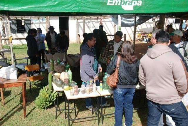 Feira mant&eacute;m viva tradi&ccedil;&atilde;o de troca de sementes entre fam&iacute;lias de agricultores