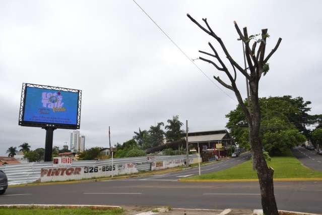 Testemunhas viram corte de ip&ecirc;, mas ningu&eacute;m foi identificado