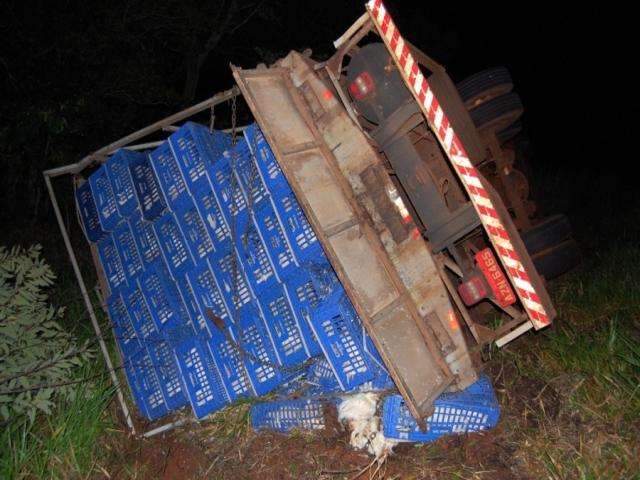 Caminh&atilde;o com frangos vivos tomba na MS-276 e deixa uma pessoa ferida