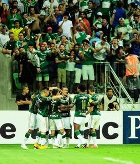 Comemoração de gol de Robinho na vitória esta tarde diante do Capivariano (Foto: Site do Palmeiras)