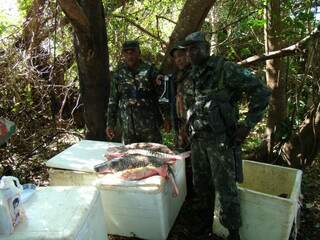 Exército e PMA apreenderam peixes pescados ilegalmente, durante a Piracema, no rio Paraguai (Foto: divulgação)