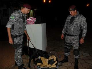 Policiais e cão farejador com a mala lotada de maconha. (Foto: Divulgação)