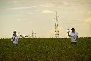 Pesquisadores do Rally da Safra avaliaram a produtividade da soja, que não foi afetada por pragas e doenças na região Sul.(Foto: Guto Andrade/MCPress/Rally da Safra)