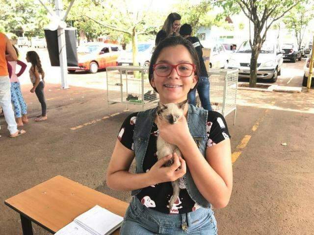 Feira de ado&ccedil;&atilde;o d&aacute; chance para pets filhotes e &lsquo;velhinhos&rsquo; ganharem um lar