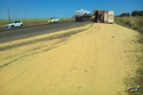 Carreta tomba e 25 toneladas de soja são espalhadas pela rodovia 
