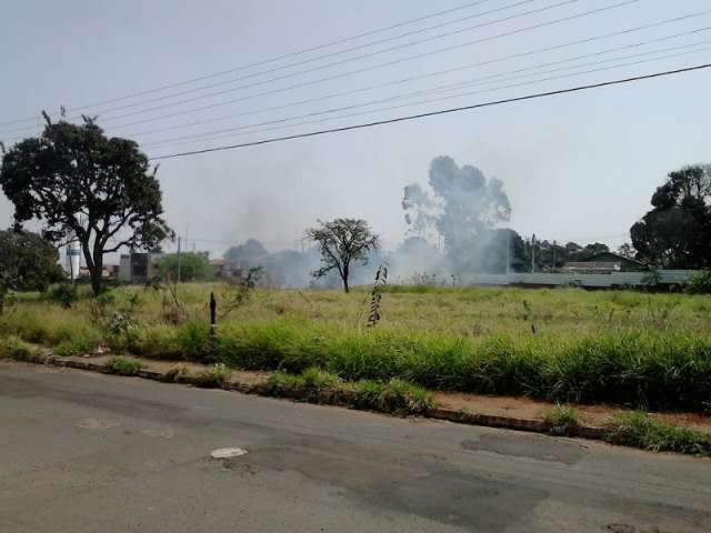 Queima de lixo dom&eacute;stico torna terreno recorrente em focos de inc&ecirc;ndio