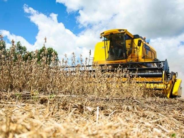 Com in&iacute;cio de colheita e maior oferta, cota&ccedil;&atilde;o de soja cai 3,4% em MS