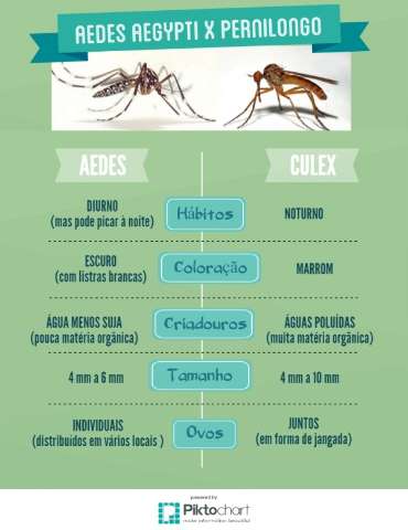 Estudo da Fiocruz aponta pernilongo como poss&iacute;vel transmissor do v&iacute;rus Zika