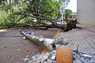 Árvore arrancada pelo vento ontem na área central de Dourados derrubou poste e arrebentou fios da rede de energia (Foto: Eliel Oliveira)