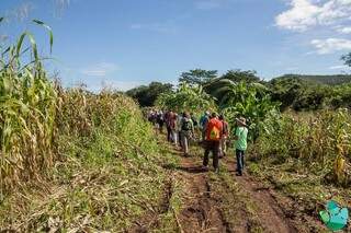 Na mistura de caminhada rural, com trekking, o que não pode faltar é disposição. (Foto: Fabiano Foscaches/Sopa de Pedra)