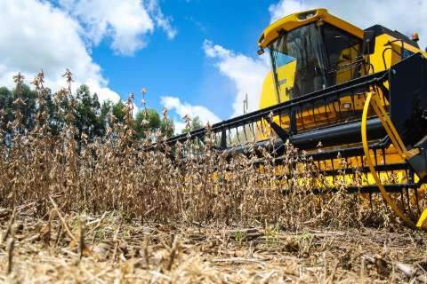 Produção agrícola de MS deve cair 6% com atraso em plantio de milho