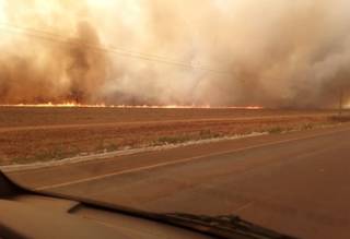 Incêndio teve início por fagulha em máquina agrícola e chamas eram vistas na BR-359 (Foto: MS Todo Dia)