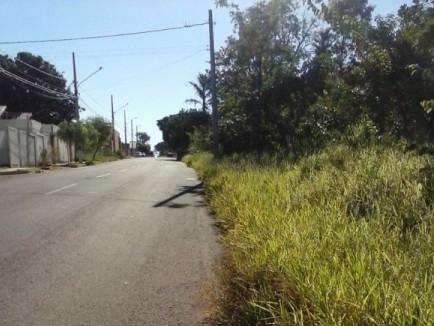 Leitor reclama de terreno abandonado em bairro da Capital