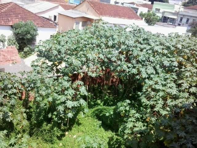 Matagal em terreno baldio gera revolta em moradores da Rua Maracaju 