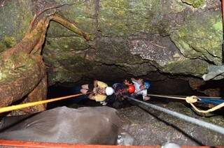 A descida de rapel é a única maneira para acessar e se aventurar a conhecer o interior da caverna subterrânea (Foto: Ecoadventure)
