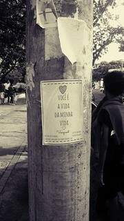 Cartaz com trecho de música colado em poste de Campo Grande. (Foto: Reprodução/Facebok)