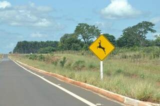 Em alguns trechos, dos 209 quilômetros de asfalto, há placas indicando a travessia de animais silvestres. (Foto: Marcelo Calazans) 