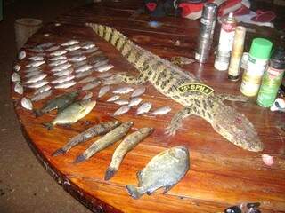 Jacaré abatido, peixes de várias espécies e equipamentos foram apreendidos (Foto: Divulgação)