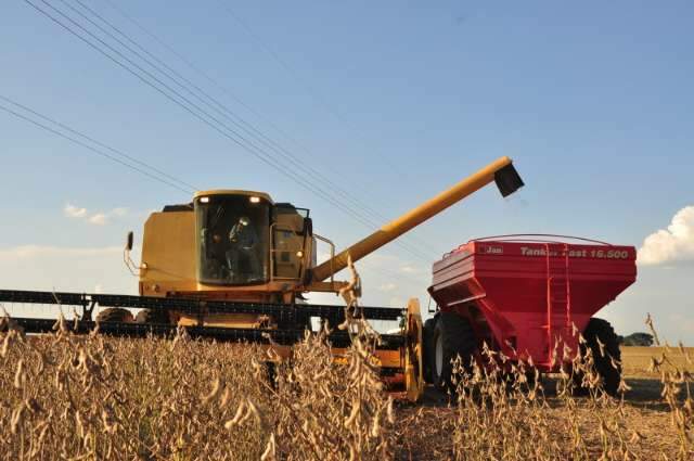 Safra de Ver&atilde;o de soja deve ser 31% maior em MS, aponta IBGE