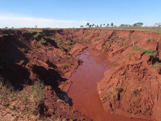 PMA multa fazendeira em R$ 145 mil por destruir mata ciliar e causar eros&atilde;o