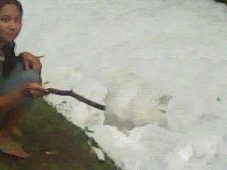 MPF pede investiga&ccedil;&atilde;o sobre c&oacute;rrego contaminado