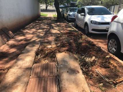 Calçada quebrada dificulta travessia de pedestres no Jardim Bela Vista 
