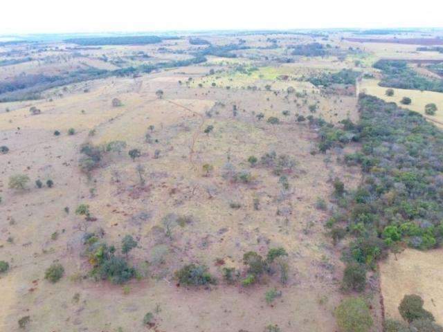 Com imagens de sat&eacute;lite, PMA identifica desmatamento ilegal em fazenda 