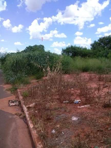 Além do mato alto, o lixo também preocupa os moradores do Morada Verde. (Foto: Direto das Ruas)