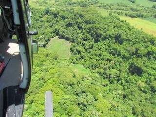 Plantação foi vista pelas equipes do grupamento aéreo (Foto: Divulgação Sejusp)