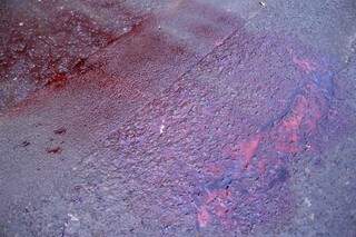 Hoje de manhã ainda era possível encontrar marcas de sangue no asfalto (Foto: Marina Pacheco) 