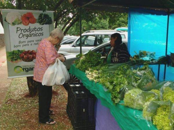 Al&eacute;m da f&eacute;: tradicional novena  garante sustento de vendedores ambulantes