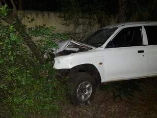 Veículo só parou depois de colidir em uma árvore. (Foto: Bonito Informa) 