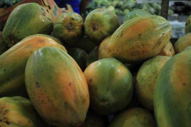 Quilo do mam&atilde;o formosa fica mais barato e &eacute; vendido a R$ 1 na Ceasa
