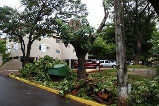 Os moradores reclamaram que algumas árvores já começaram ser derrubadas (Foto: Cleber Gellio)