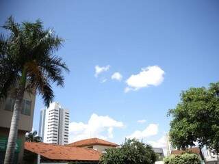 Céu claro com poucas nuvens na tarde desta terça-feira no Jardim dos Estado em Campo Grande (Foto: Paulo Francis)