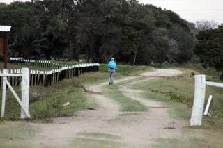 Atividade comum dos esotéricos no Pantanal: meditar caminhando. Na foto, Anne Scharplin, 63, da Nova Zelândia, na São João: entrando no ritmo da natureza