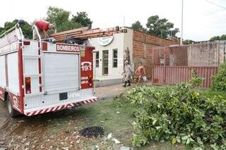 Corpo de bombeiros retirou árvore do telhado. (Foto: Gerson Walber)
