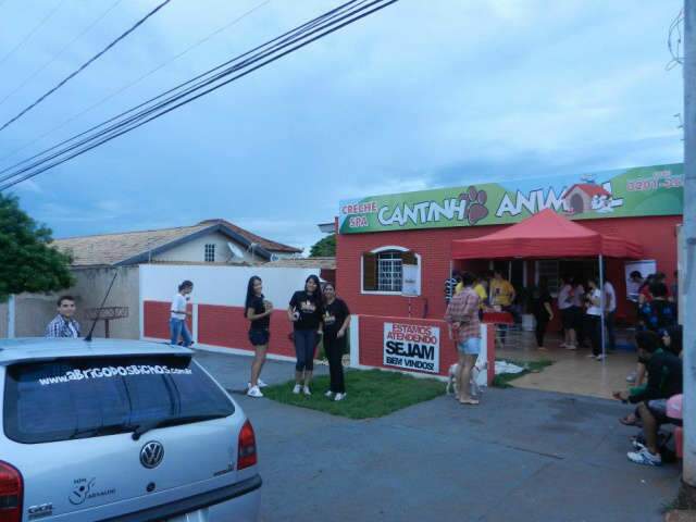  Feira de ado&ccedil;&atilde;o de animais acontece at&eacute; &agrave;s 17h de hoje